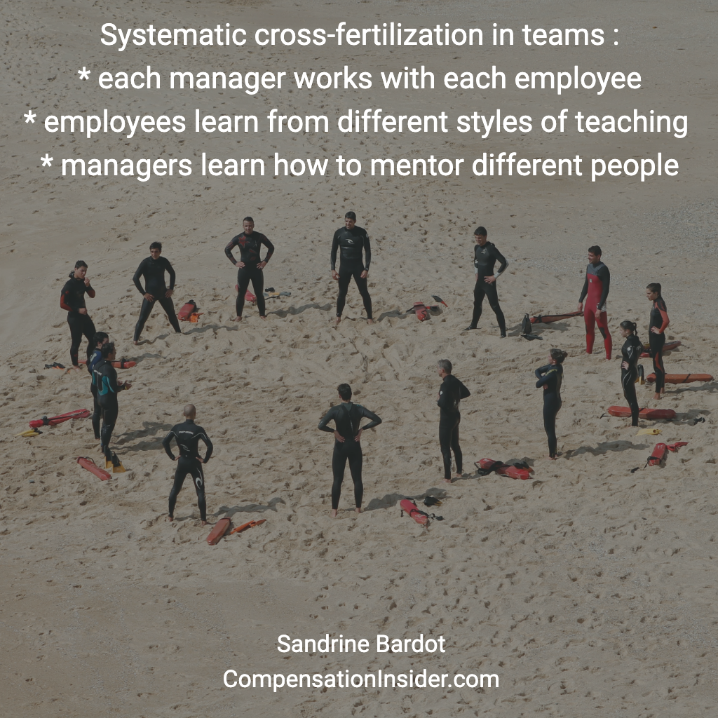 Deploy systematic cross-fertilisation in your team
